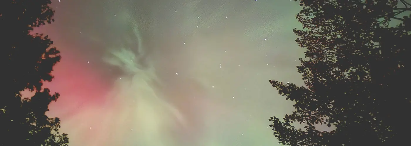 Northern Lights and Flowers
