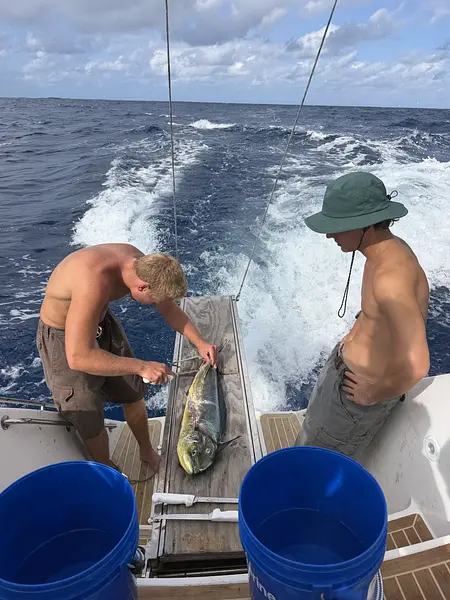 FISH ON🎣🍣